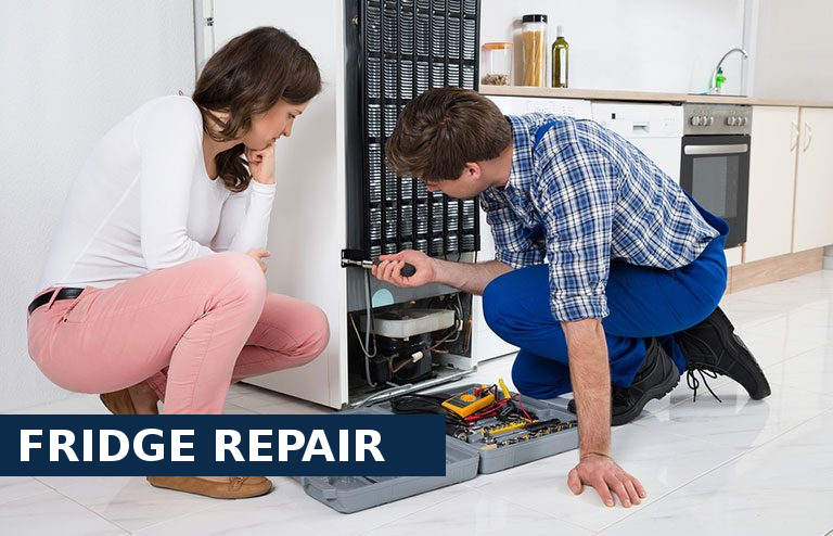 Fridge Repair Twickenham